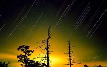 상상하던 그림들이...