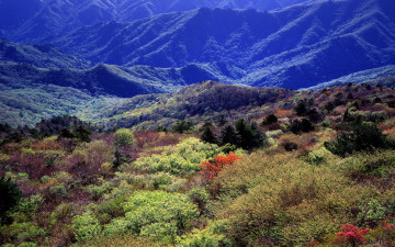 덕유의 봄을 기다리며...