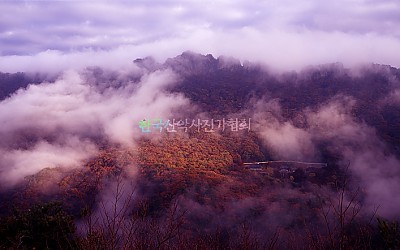 내장산의 가을