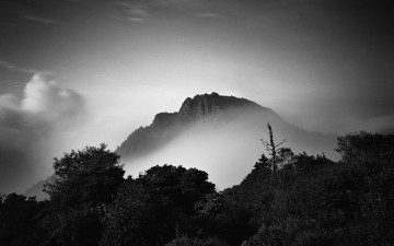 한라산 영실계곡에서