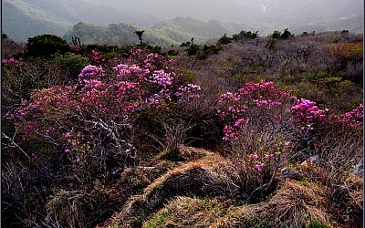 대둔산