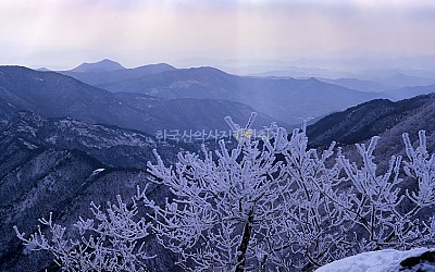 계룡산 관음봉에서