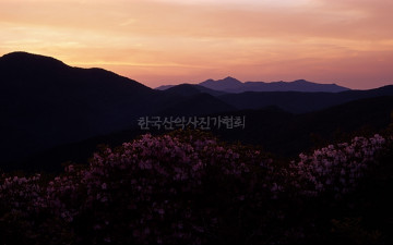 너무 뜸 했네요