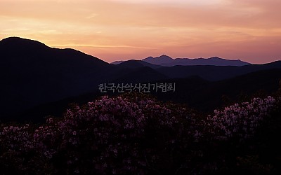 너무 뜸 했네요