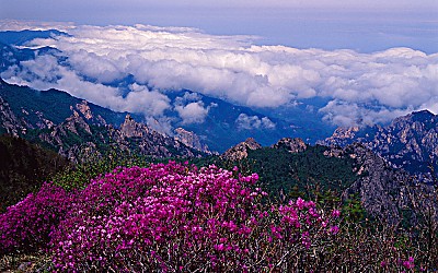 설악산
