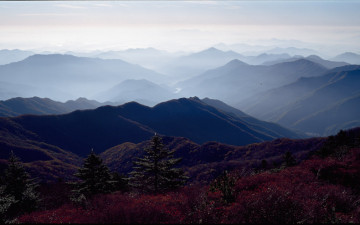 가을에 피는 꽃
