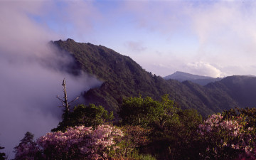 중봉에 철쭉필때면2