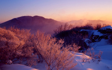 가장 추웠던 그날