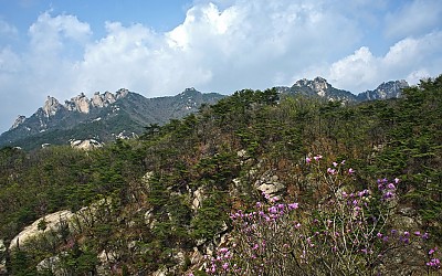 도봉산의 봄