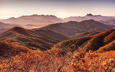 고령산의 화려한 늦가을
