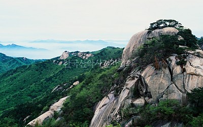 도봉산 의 봄
