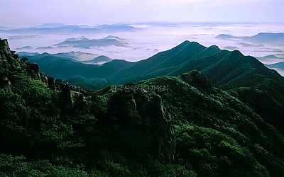 대둔산의 신록