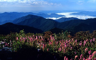 지리산의 美