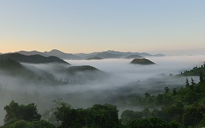 괴산군 청천면 산길에서