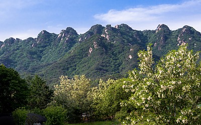속리산 의 아침빛