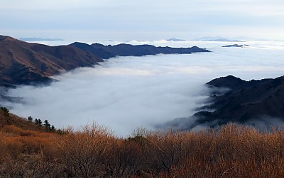 바다를 보다