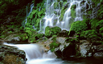 지리산 이끼폭포