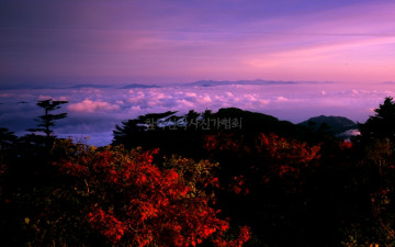  그  가을을 추억함..2,