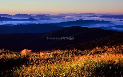덕유산의 여름
