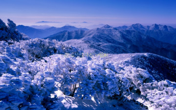 덕유산 중봉은 칼바람으로 명성이 높지요