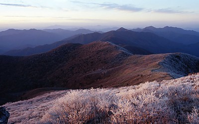 남덕유