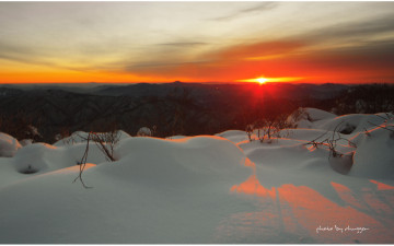 첫 빛이 물들 때....
