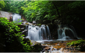 6월의 방태산 #!