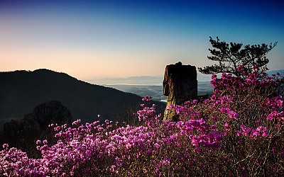 남녁땅의 봄.