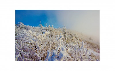 덕유의겨울 #12