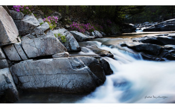 구천동의 새벽....