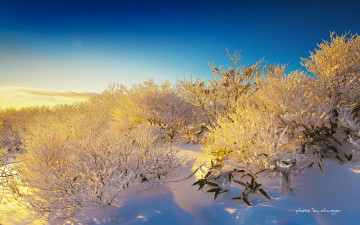 덕유의 아침빛.