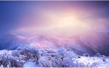 덕유평전의 빛....