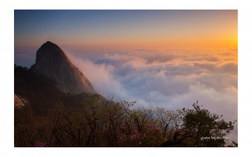 북한산의 봄 # 1