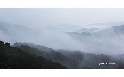 비오는 날에.....