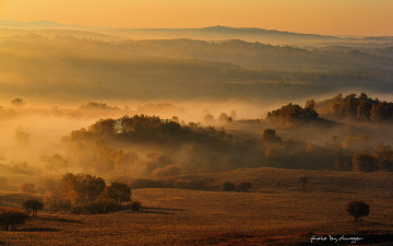 가을...가을 가을.