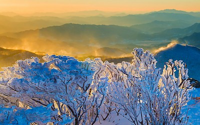 산능의 눈보라.
