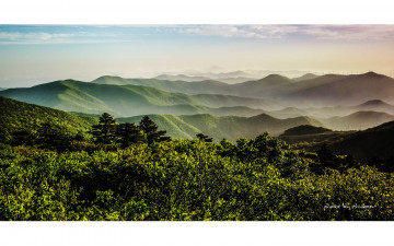 여름능선에서서...