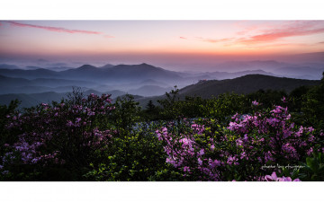 봄은 이렇게....#4