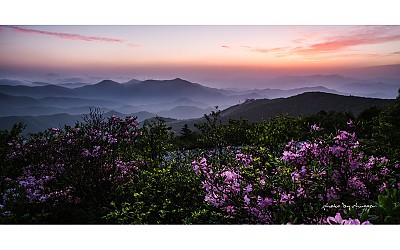봄은 이렇게....#4