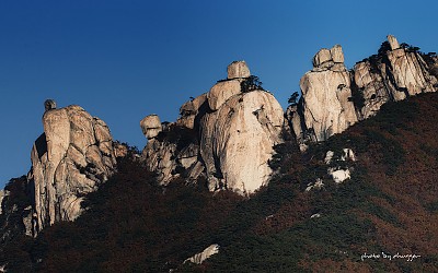 오봉의 가을....