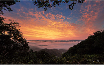 호명산의 새벽..