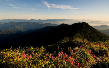 봄을 기다리며.
