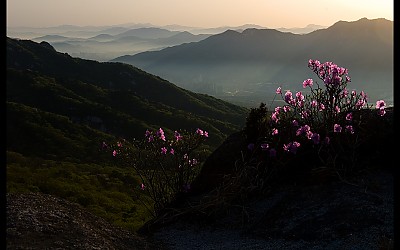 도봉산의 봄.