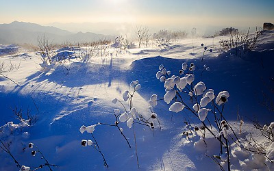 바람이 분다.