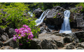백련사가는 길.