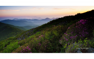 아름다운 산하 #19