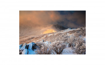 덕유평전의 아침.