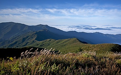 좋은아참