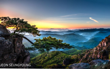 대둔산의 주연松