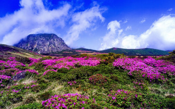 한라산의 추억2